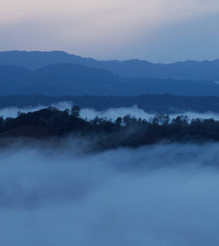 A foggy day in Pocket Peak.